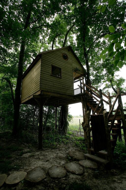 La Cabane Aux Secrets - Au Milieu De Nulle Part Outines 部屋 写真